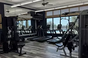 236 Caladium Ave, Lake Alfred, FL 33850 - Photo 57