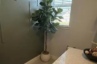 236 Caladium Ave, Lake Alfred, FL 33850 - Photo 21