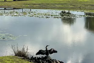 236 Caladium Ave, Lake Alfred, FL 33850 - Photo 45