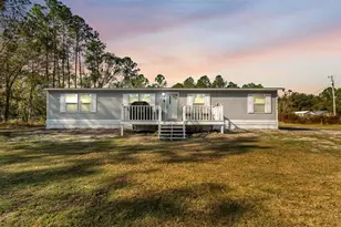 10536 Old Dade City Rd, Lakeland, FL 33810 - Photo 1