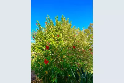 813 Cinnamon Drive E, Winter Haven, FL 33880 - Photo 17