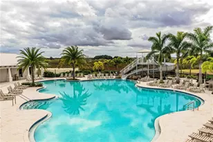 3551 Marigold Patch Ct, Plant City, FL 33565 - Photo 5