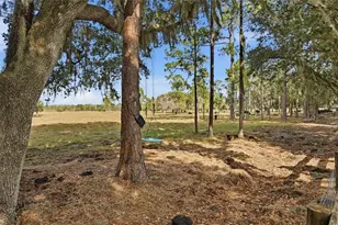 3800 Gerber Dairy Rd, Winter Haven, FL 33880 - Photo 95