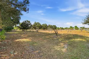 3800 Gerber Dairy Rd, Winter Haven, FL 33880 - Photo 83