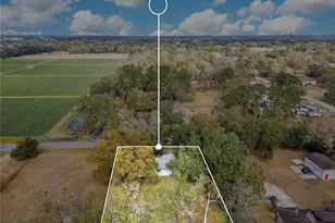 13713 Walden Sheffield Rd, Dover, FL 33527 - Photo 39