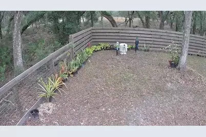 33469 August Avenue, Webster, FL 33597 - Photo 5