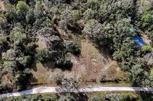 40550 Sutorus Rd, Zephyrhills, FL 33540 - Photo 1