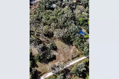 40550 Sutorus Road, Zephyrhills, FL 33540 - Photo 9