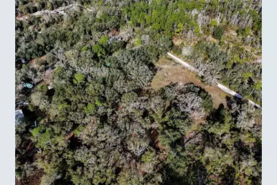 40550 Sutorus Road, Zephyrhills, FL 33540 - Photo 5