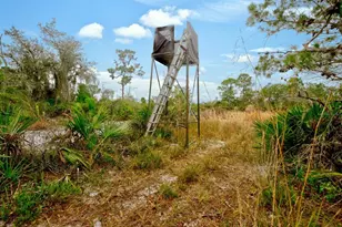 194 Leisure Ln, Venus, FL 33960 - Photo 35