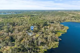 31445 Amberlea Rd, Dade City, FL 33523 - Photo 5