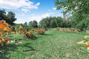 12524 Rockridge Rd, Lakeland, FL 33809 - Photo 3