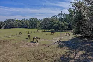 660 Old Bartow Lake Wales Rd, Bartow, FL 33830 - Photo 57