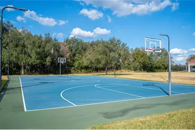 3387 Fiddle Leaf Way, Lakeland, FL 33811 - Photo 63