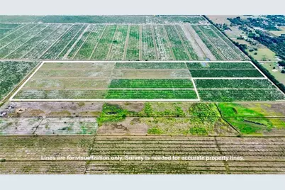 3288 Auburn Street, Lorida, FL 33857 - Photo 5