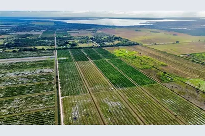 3288 Auburn Street, Lorida, FL 33857 - Photo 3