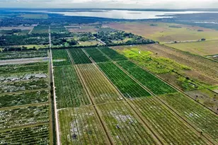 3288 Auburn St, Lorida, FL 33857 - Photo 3