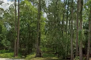 1410 Iris Ave, Sebring, FL 33875 - Photo 1