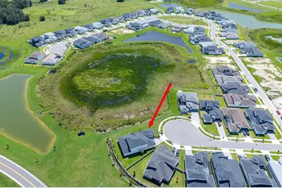 32449 Wetland Bird View, San Antonio, FL 33576 - Photo 5