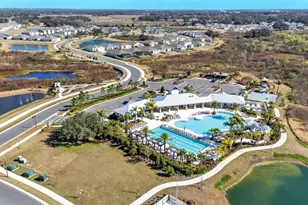 3532 White Dandelion Ct, Plant City, FL 33565 - Photo 41