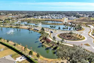3532 White Dandelion Ct, Plant City, FL 33565 - Photo 37