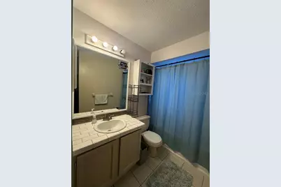 520 Fairhope Drive, Apollo Beach, FL 33572 - Photo 11