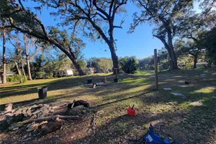 3120 Boggy Terrace Dr, Kissimmee, FL 34744 - Photo 47