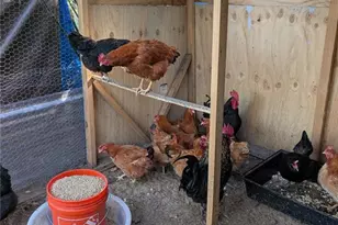 3120 Boggy Terrace Dr, Kissimmee, FL 34744 - Photo 13