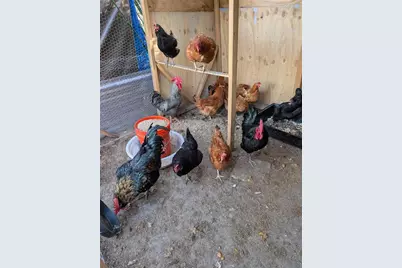 3120 Boggy Terrace Drive, Kissimmee, FL 34744 - Photo 11