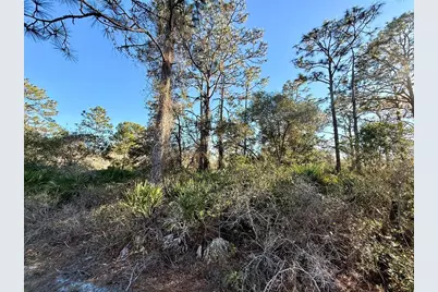 903 Hibiscus Drive, Indian Lake Estates, FL 33855 - Photo 3