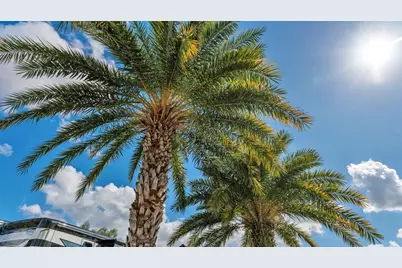 3268 Fish Hawk Drive, Polk City, FL 33868 - Photo 9