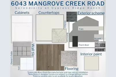 6043 Mangrove Creek Road, Wimauma, FL 33598 - Photo 3