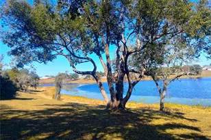 417 E Main St, Dundee, FL 33838 - Photo 25