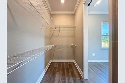 2407 Old Medulla Road, Lakeland, FL 33811 - Photo 41