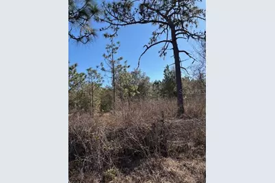 Old Grade Road, Polk City, FL 33868 - Photo 9