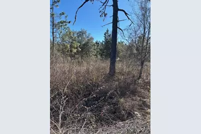 Old Grade Road, Polk City, FL 33868 - Photo 7