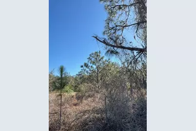 Old Grade Road, Polk City, FL 33868 - Photo 3