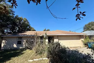 234 Trailview Way, Polk City, FL 33868 - Photo 21