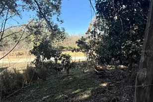 234 Trailview Way, Polk City, FL 33868 - Photo 31