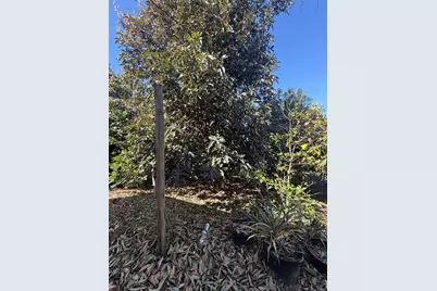 234 Trailview Way, Polk City, FL 33868 - Photo 29