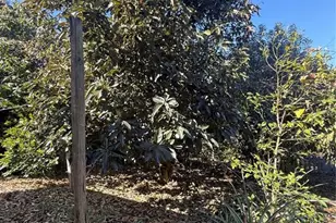 234 Trailview Way, Polk City, FL 33868 - Photo 29