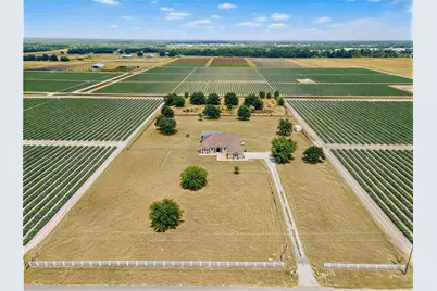 2350 Virgil Hall Road, Lithia, FL 33547 - Photo 49