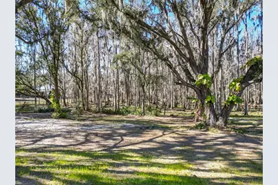 7405 Shoupe Road, Plant City, FL 33565 - Photo 59