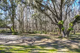 7405 Shoupe Rd, Plant City, FL 33565 - Photo 59