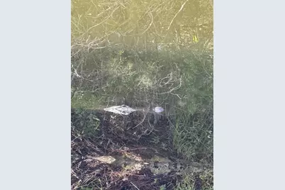 4004 Shoal Line Boulevard, Hernando Beach, FL 34607 - Photo 17