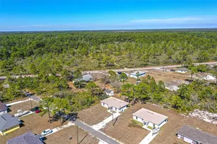 1406 Bittersweet St, Lake Placid, FL 33852 - Photo 15