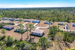 1406 Bittersweet St, Lake Placid, FL 33852 - Photo 19