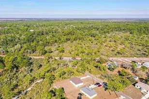 1403 Bittersweet St, Lake Placid, FL 33852 - Photo 19