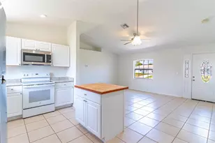 1411 Bittersweet St, Lake Placid, FL 33852 - Photo 11