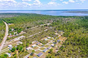 1411 Bittersweet St, Lake Placid, FL 33852 - Photo 19